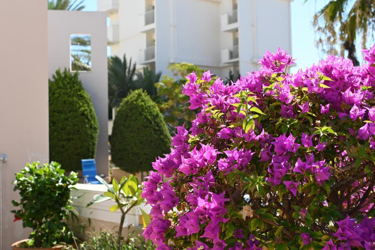 Отдыхайте С Удовольствием Paphos Exterior photo